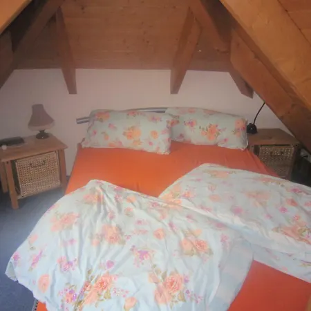 Orchidee * Weissig (Bautzen)