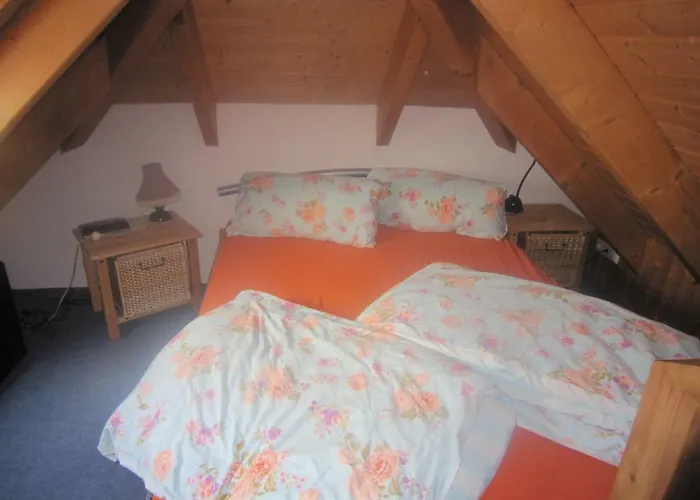 Orchidee * Weissig (Bautzen)